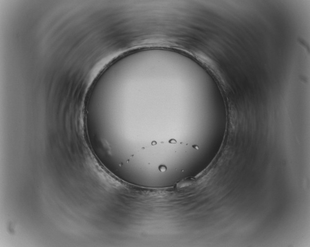 X0000100491288200806271228