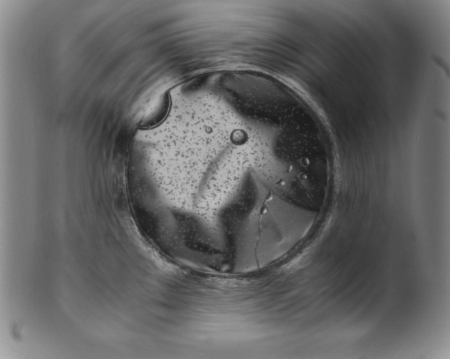 X0000100491289200806271228