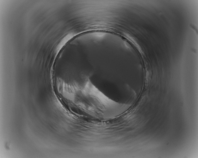 X0000100491291200806271228