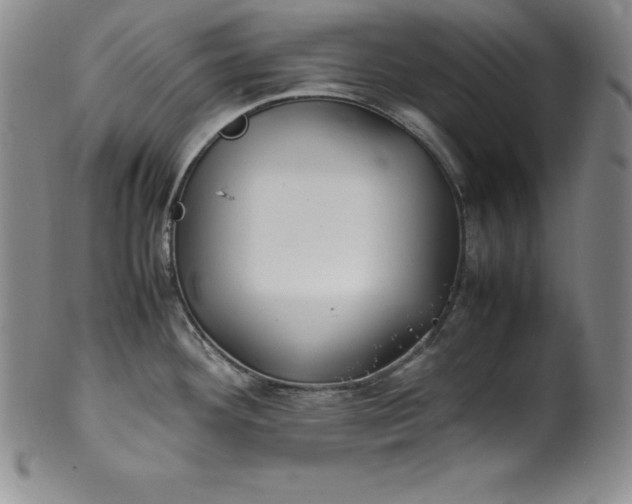 X0000100491292200806271228