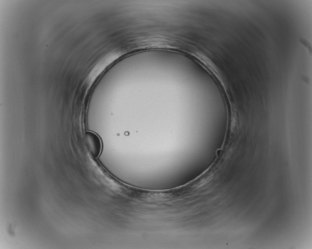 X0000100491293200806271228