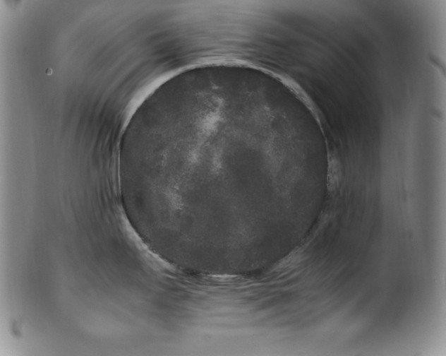 X0000100491295200806271228