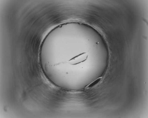 X0000100491296200806271228