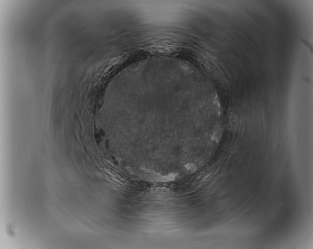 X0000100491297200806271227