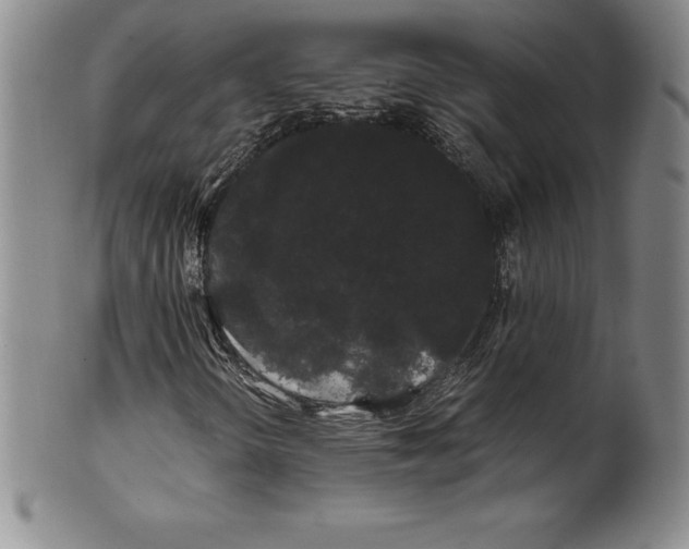 X0000100491298200806271227