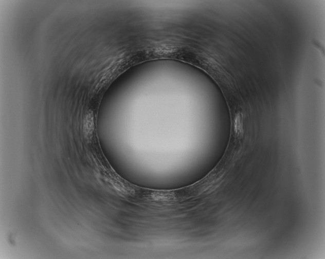 X0000100491299200806271227