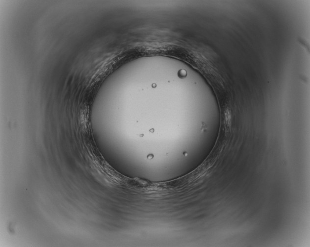 X0000100491300200806271227