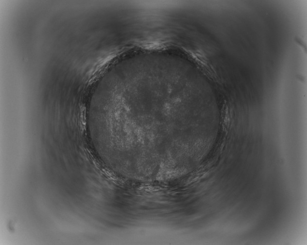 X0000100491301200806271227