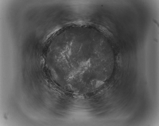 X0000100491302200806271227