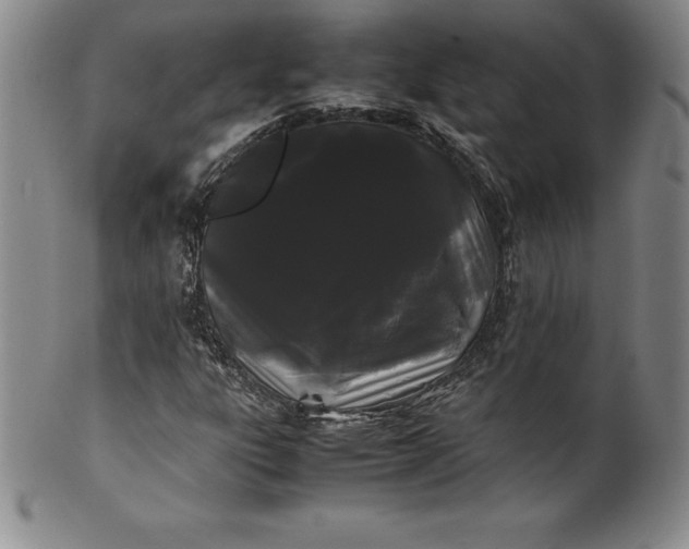 X0000100491303200806271227