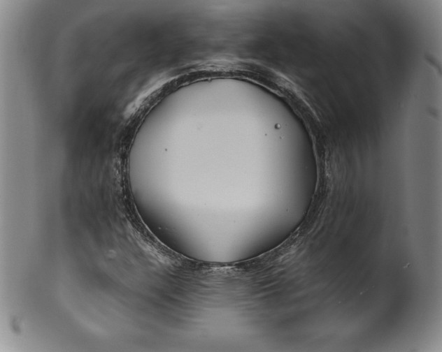 X0000100491304200806271227