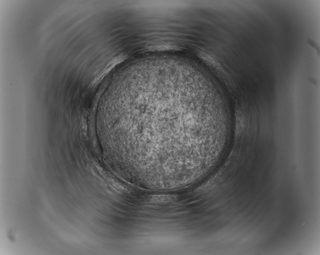 X0000100491305200806271227