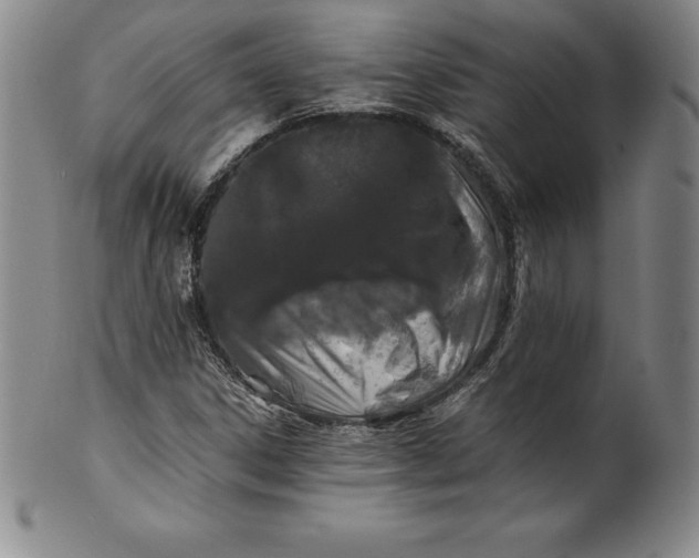 X0000100491306200806271227