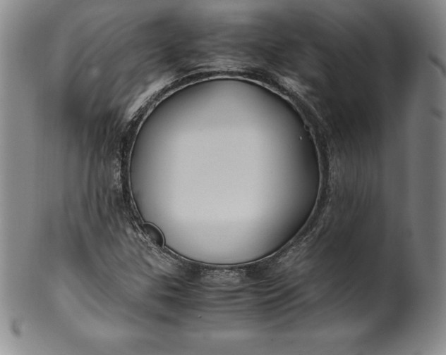 X0000100491307200806271227