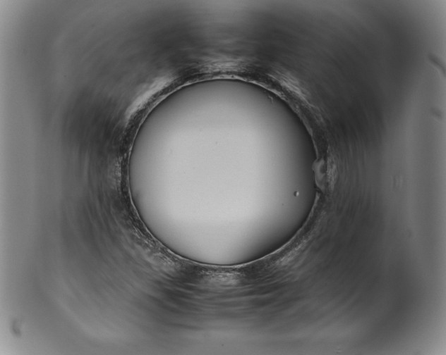 X0000100491309200806271227