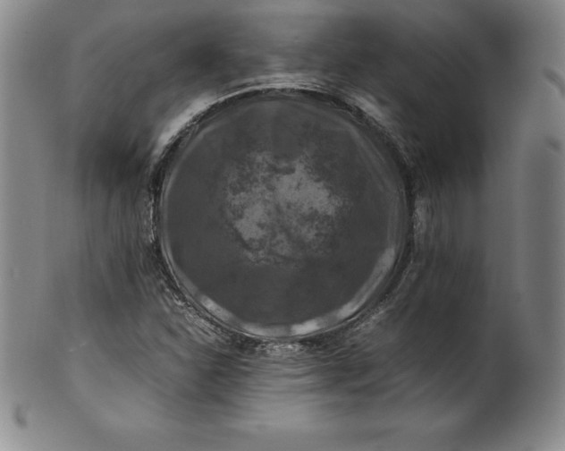 X0000100491310200806271227