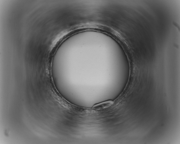 X0000100491312200806271227