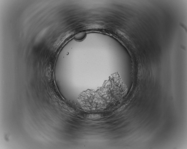 X0000100491313200806271227