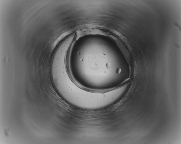 X0000100491314200806271227