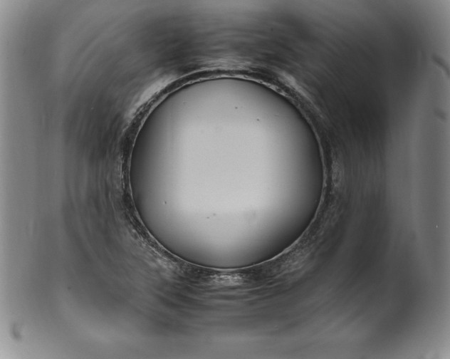 X0000100491315200806271227