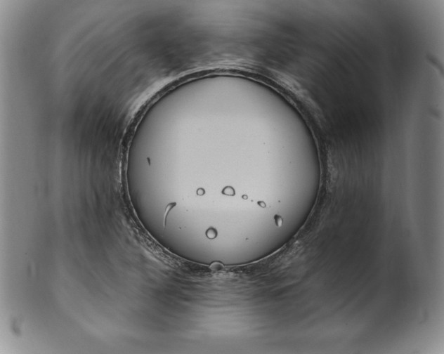 X0000100491316200806271227