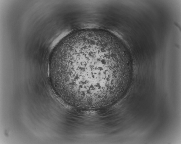 X0000100491317200806271227