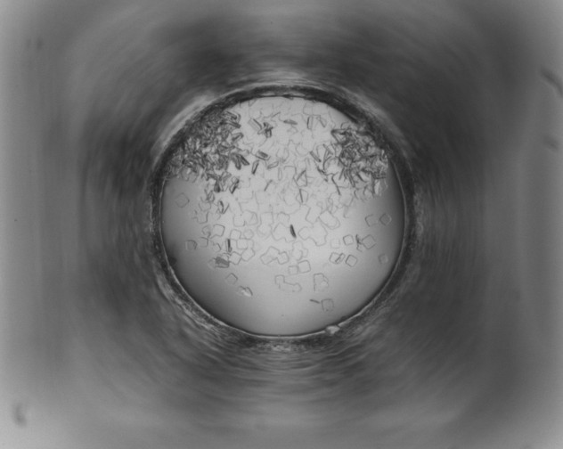 X0000100491318200806271227