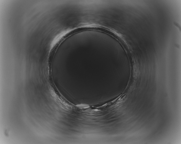 X0000100491319200806271227