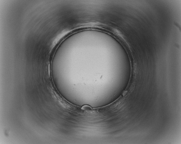 X0000100491320200806271227