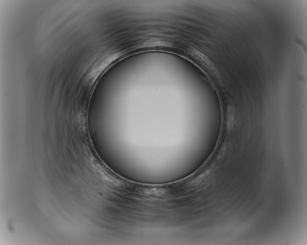 X0000100491321200806271227