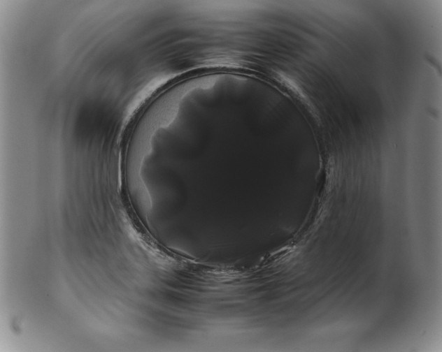 X0000100491323200806271227