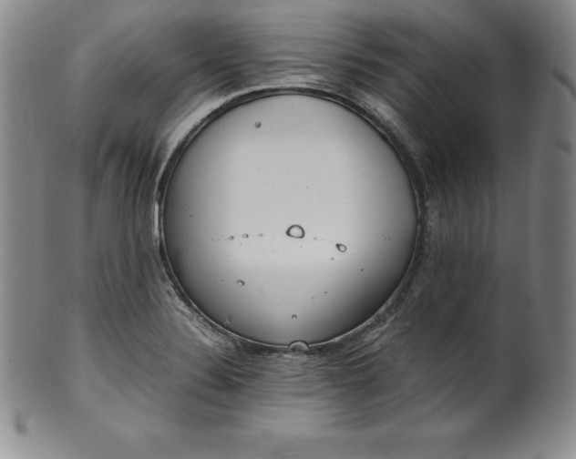 X0000100491324200806271227