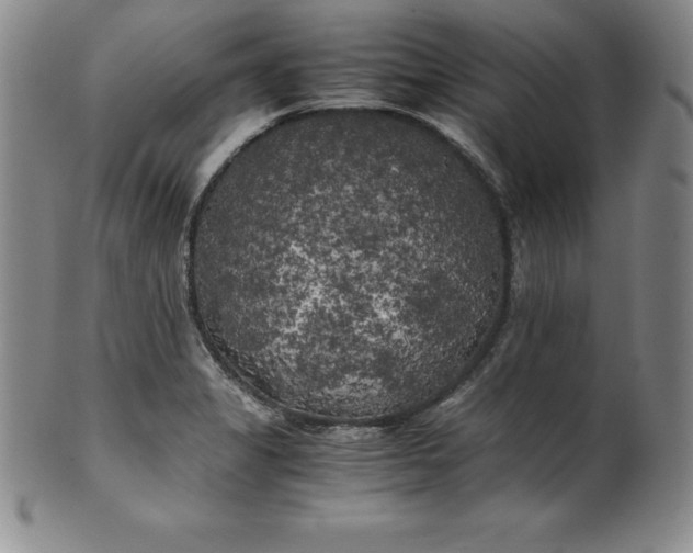 X0000100491325200806271227