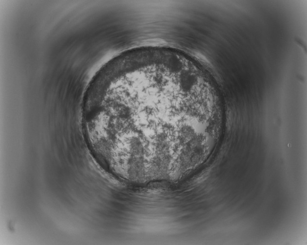 X0000100491326200806271227