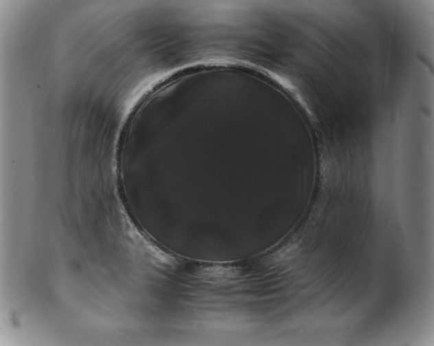 X0000100491327200806271227