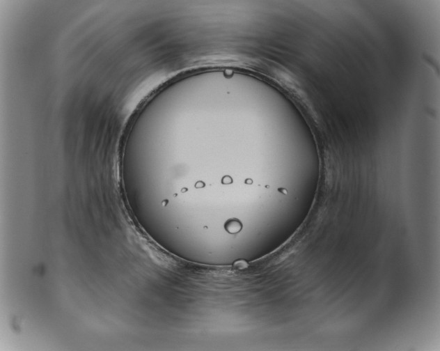 X0000100491328200806271228