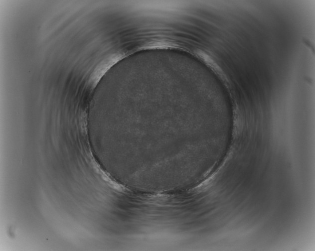 X0000100491329200806271228