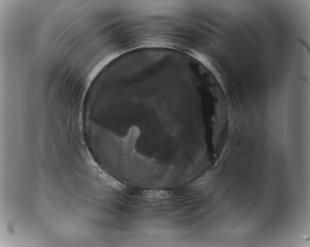 X0000100491331200806271228