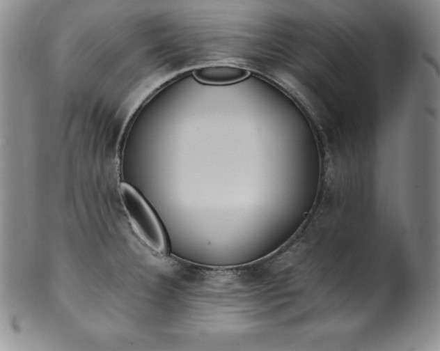 X0000100491332200806271228