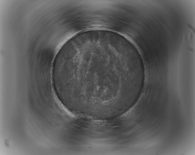 X0000100491333200806271228