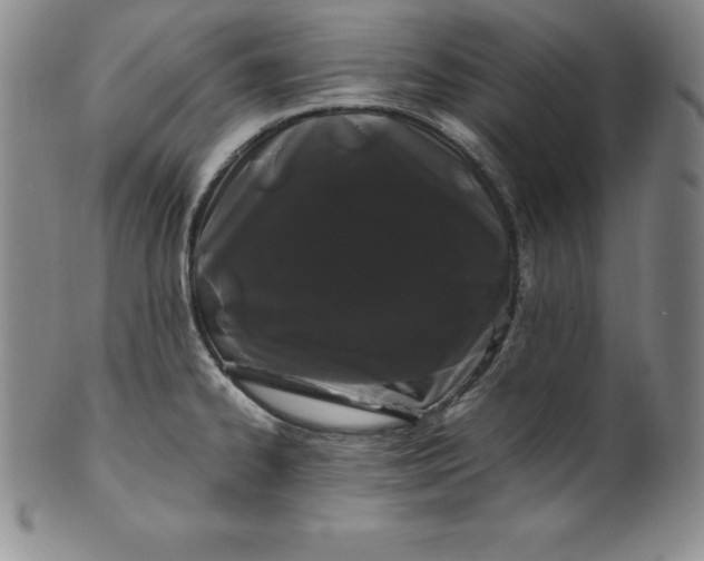 X0000100491334200806271228