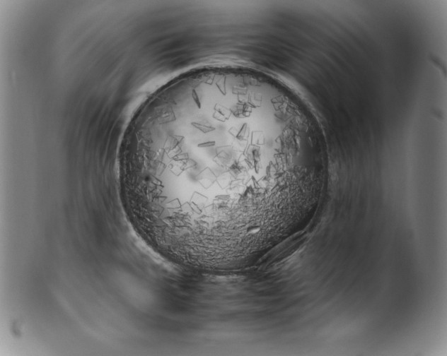 X0000100491335200806271228