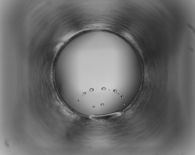 X0000100491336200806271228