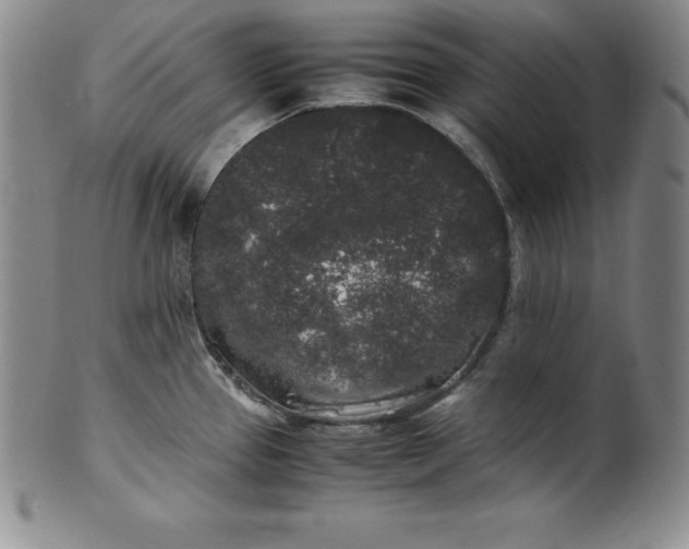 X0000100491337200806271228