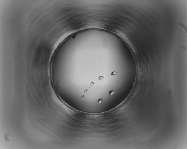 X0000100491339200806271228