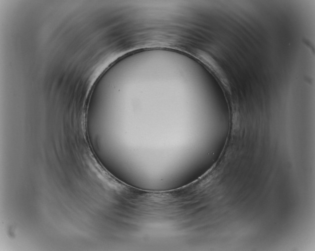 X0000100491340200806271228