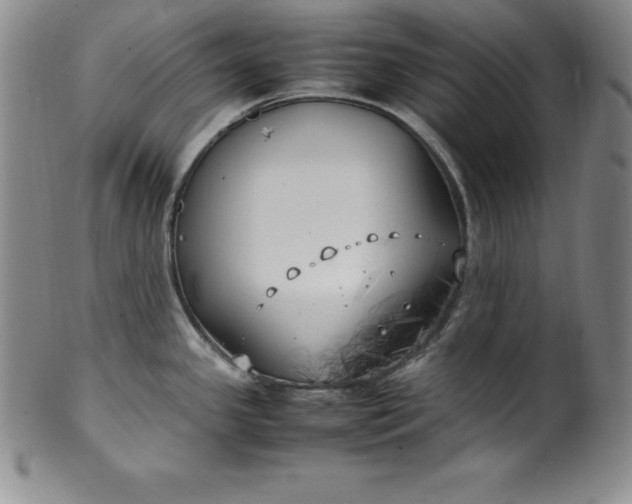 X0000100491341200806271228