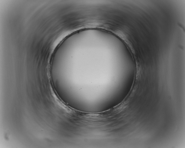 X0000100491342200806271228