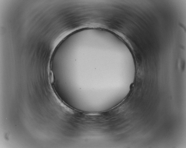 X0000100491343200806271228