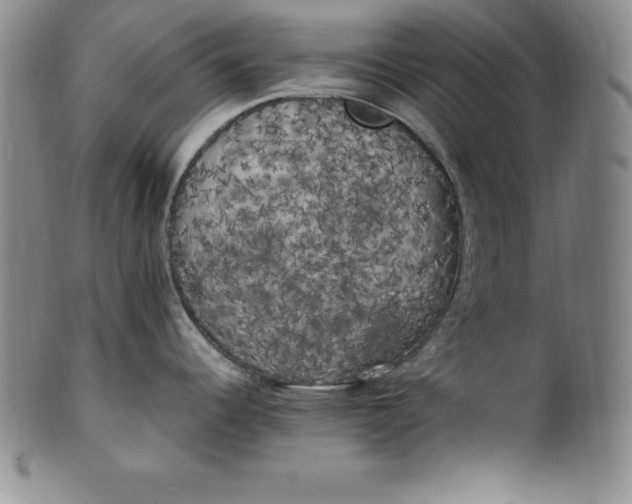 X0000100491344200806271228